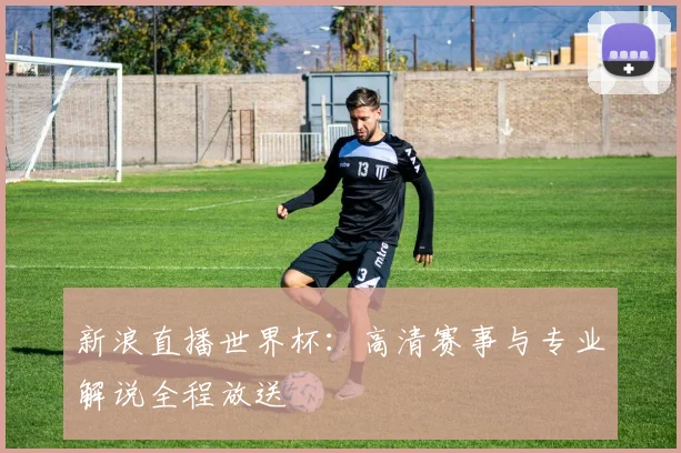 新浪直播世界杯：高清赛事与专业解说全程放送