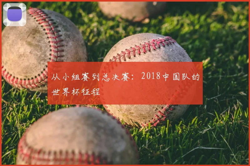 从小组赛到总决赛：2018中国队的世界杯征程