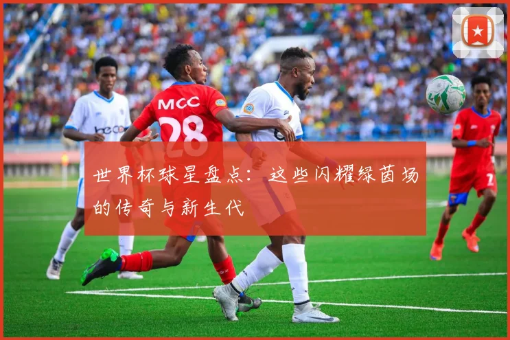 世界杯球星盘点:这些闪耀绿茵场的传奇与新生代