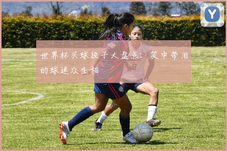 世界杯买球段子大盘点:笑中带泪的球迷众生相