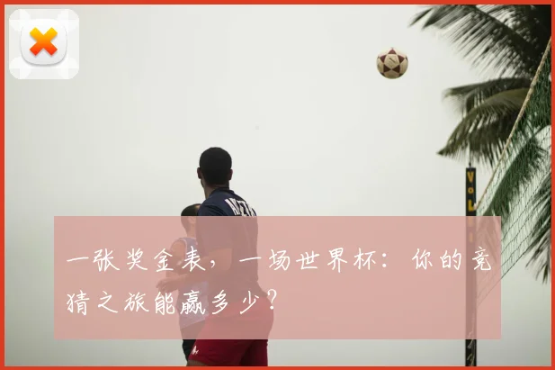 一张奖金表,一场世界杯:你的竞猜之旅能赢多少?