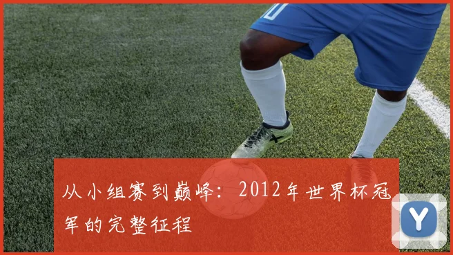 从小组赛到巅峰：2012年世界杯冠军的完整征程