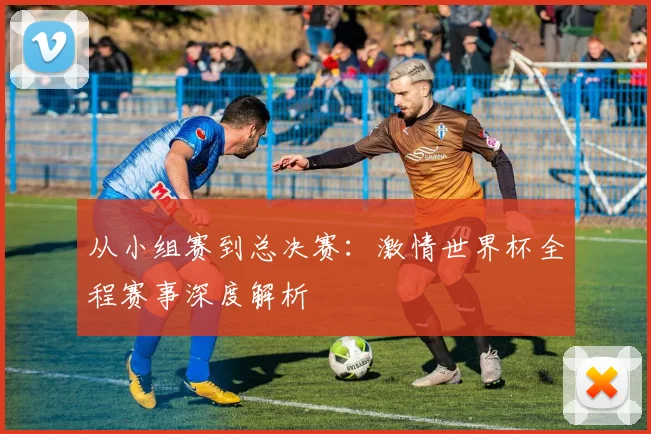 从小组赛到总决赛：激情世界杯全程赛事深度解析