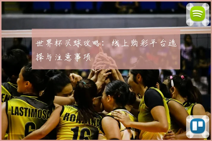 世界杯买球攻略:线上购彩平台选择与注意事项