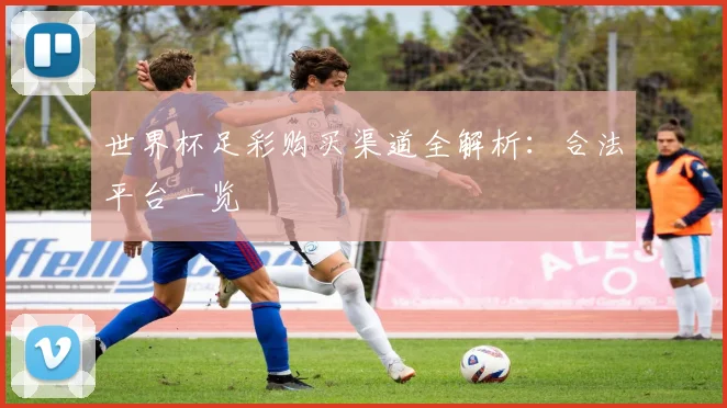 世界杯足彩购买渠道全解析:合法平台一览
