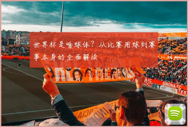 世界杯是啥球体?从比赛用球到赛事本身的全面解读