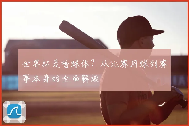世界杯是啥球体?从比赛用球到赛事本身的全面解读