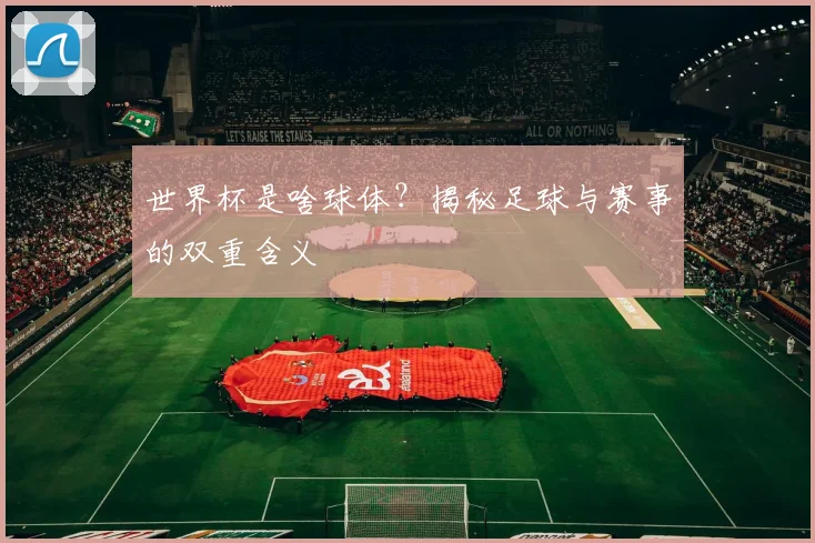 世界杯是啥球体?揭秘足球与赛事的双重含义
