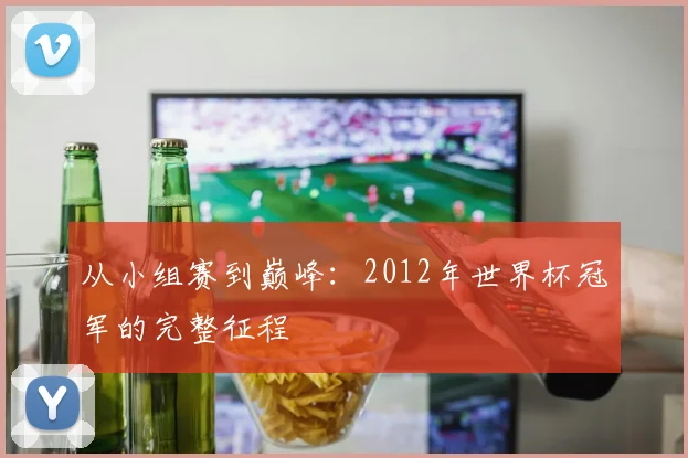 从小组赛到巅峰：2012年世界杯冠军的完整征程