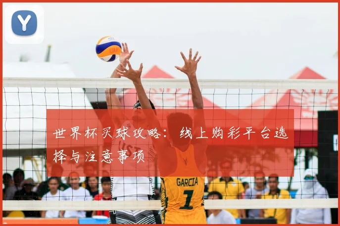 世界杯买球攻略:线上购彩平台选择与注意事项